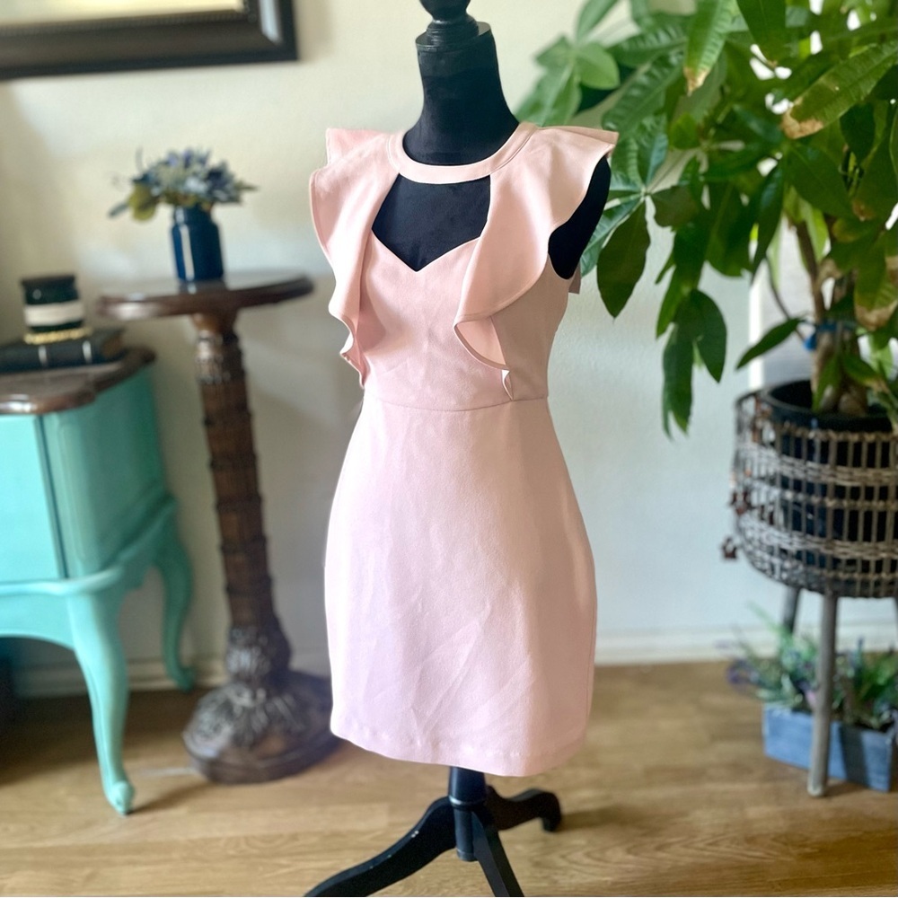 NWT BCBGeneration Cutout Ruffled Mini Sheath Dress Pink Rose Smoke Size 4 - Picture 8 of 9